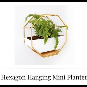 Hanging Planter